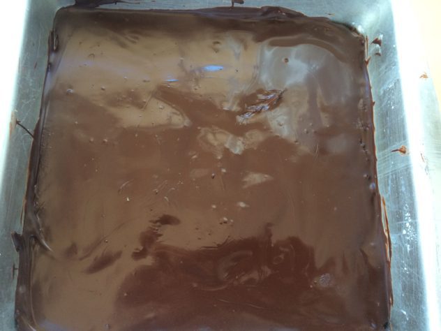 Chocolate Milk Powder Burfi