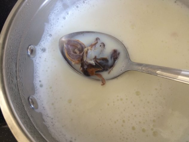 Sattu, Dates Masala Milk With Turmeric