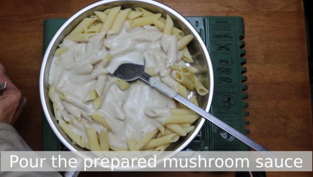 Pasta In creamy mushroom sauce